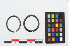 Foto von Bronzering (NHMW-PRAE-025571)